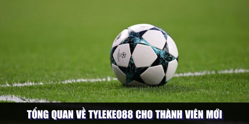 Overview of Tylekeo88 for New Users