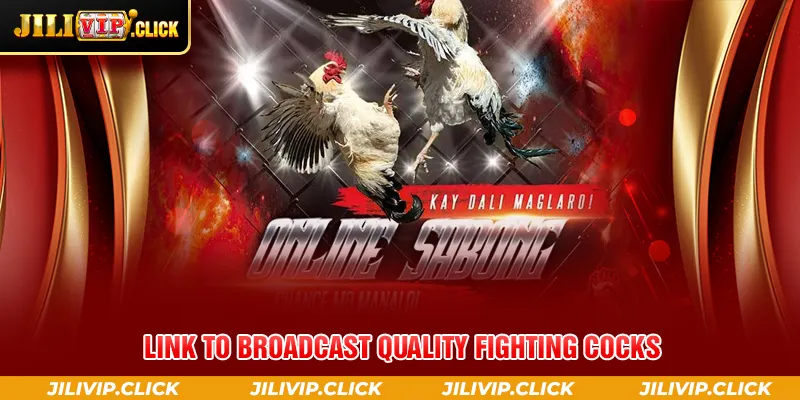 LINK TO BROADCAST QUALITY FIGHTING COCKS