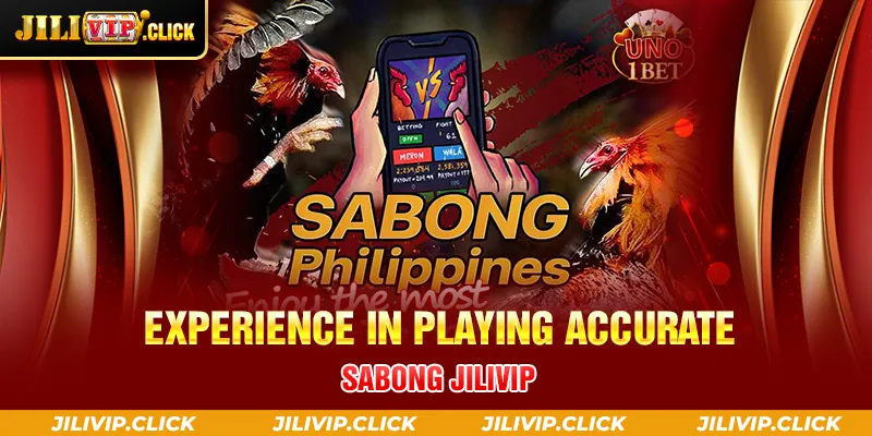 EXPERIENCE IN PLAYING ACCURATE SABONG JILIVIP