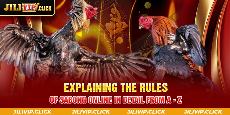 Explaining the rules of Sabong online in detail from A - Z