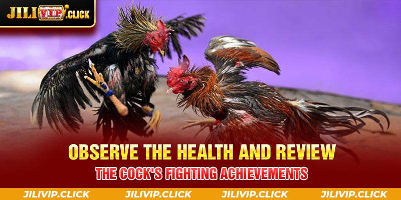 Observe the health and review the cock's fighting achievements